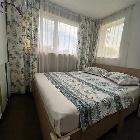 Camere De Inchiriat Andra