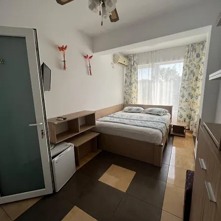 Camere De Inchiriat Andra *
