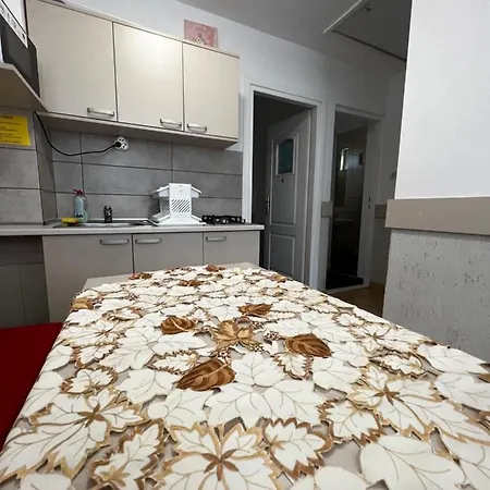 Camere De Inchiriat Andra * エフォリエ・ノルド