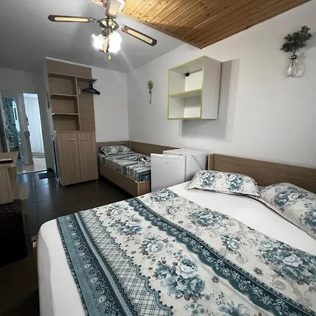 Andra 艾福雷诺德