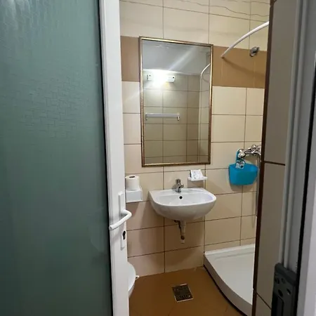 ホームステイ Camere De Inchiriat Andra
